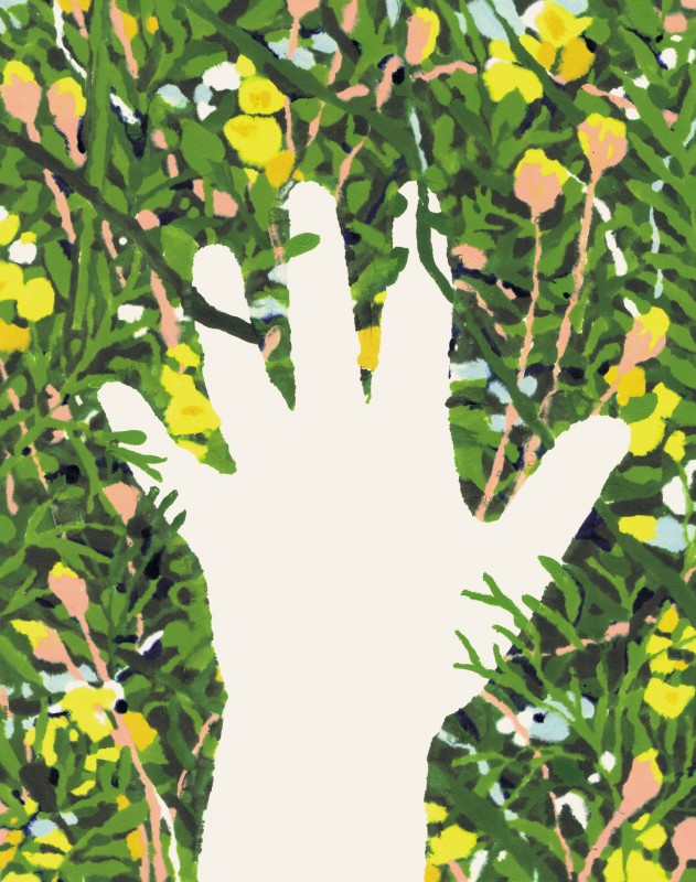 Jamie Mills Illustration